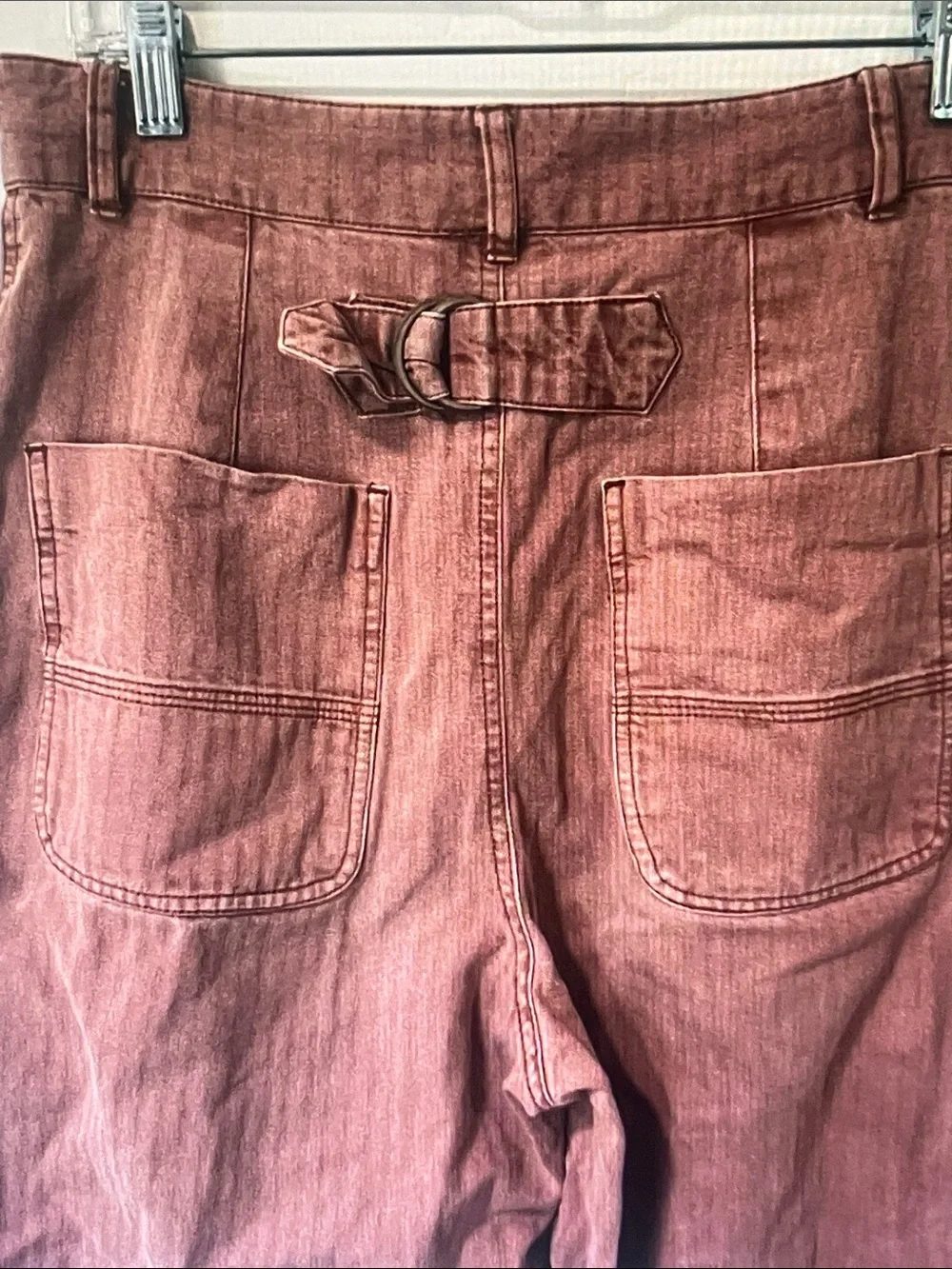 Free People Wide Leg Pants in Rust